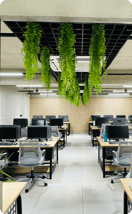 Office workspace with plants and desks