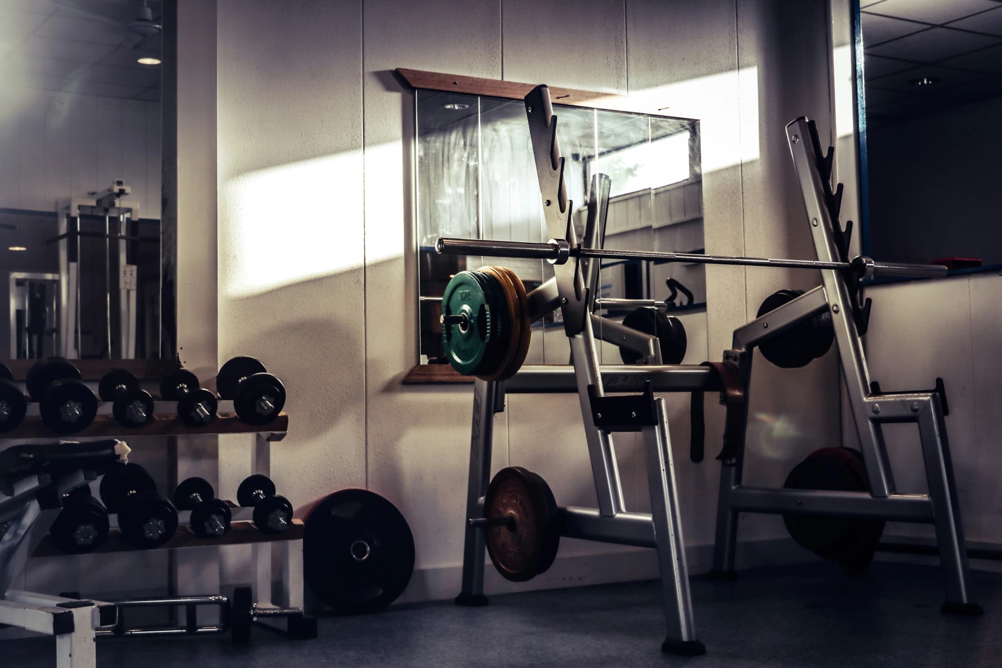 Fitness & Wellness