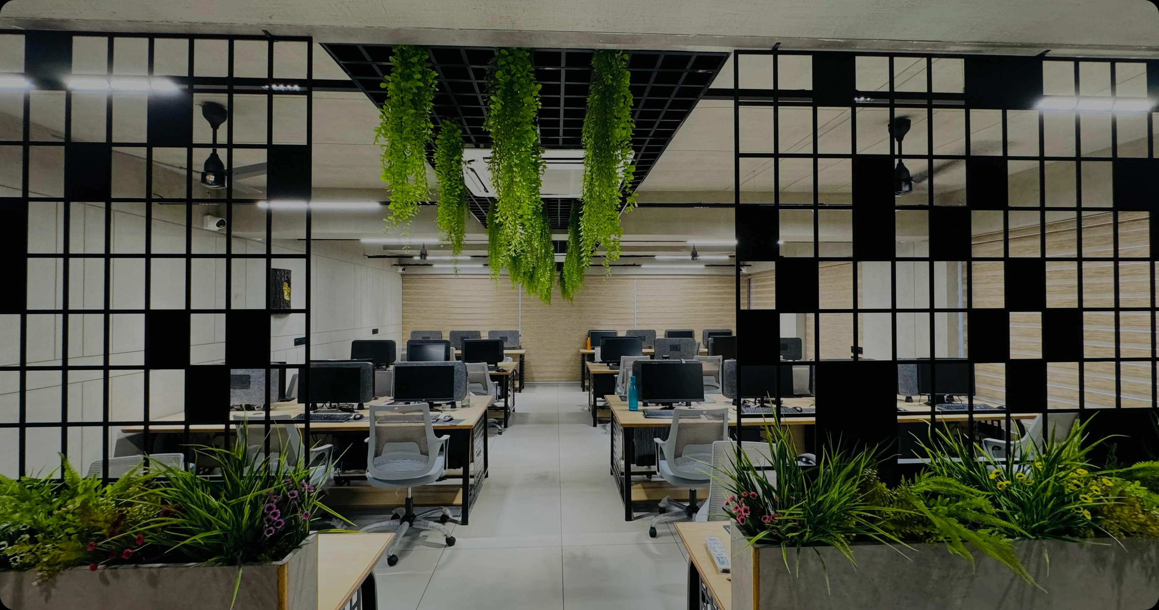 Team culture at Prodev